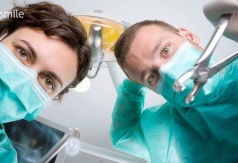 Экстракция зубов плотоядных: простые решения в повседневной практике